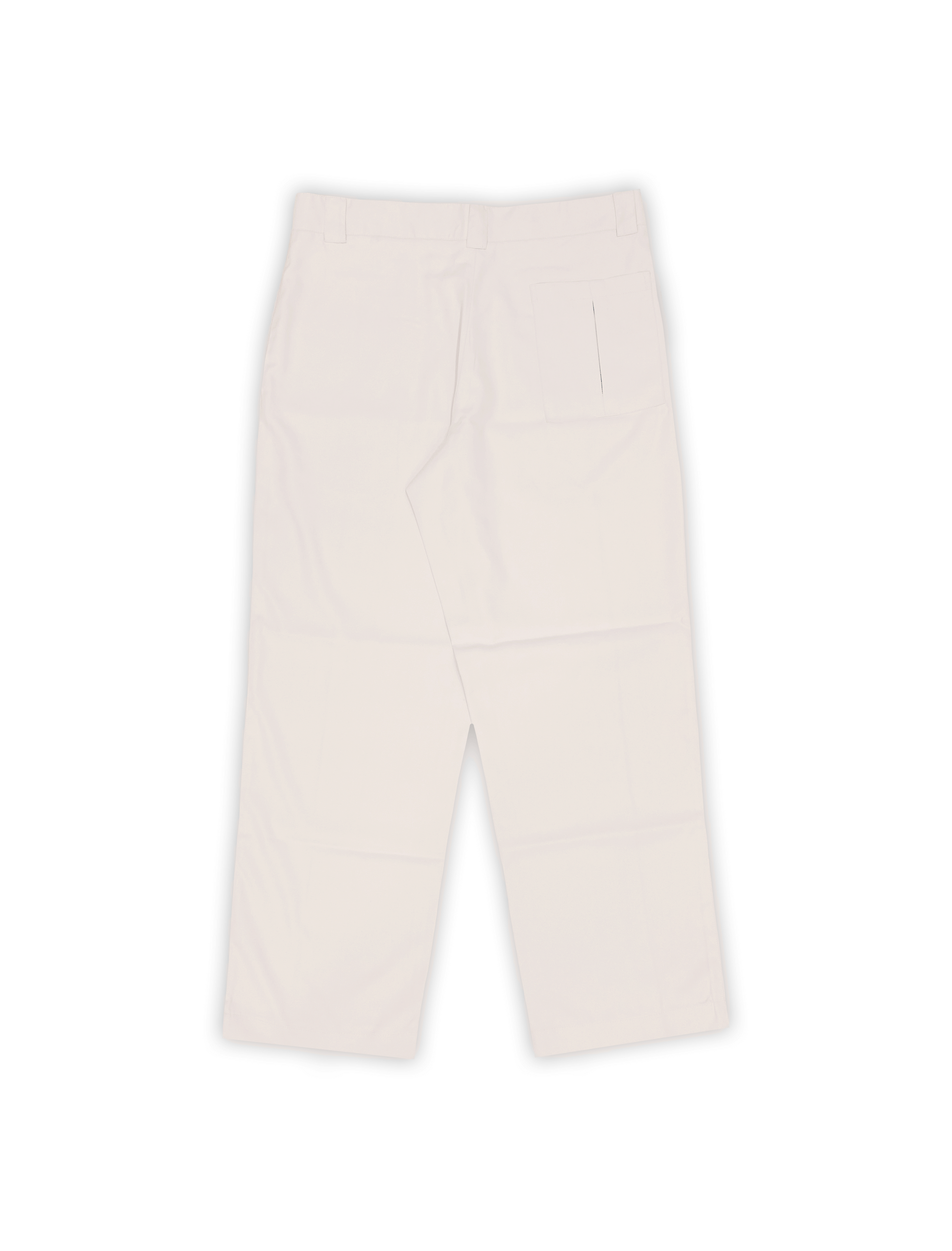 DABBA PLEAT PANTS IN CREAM
